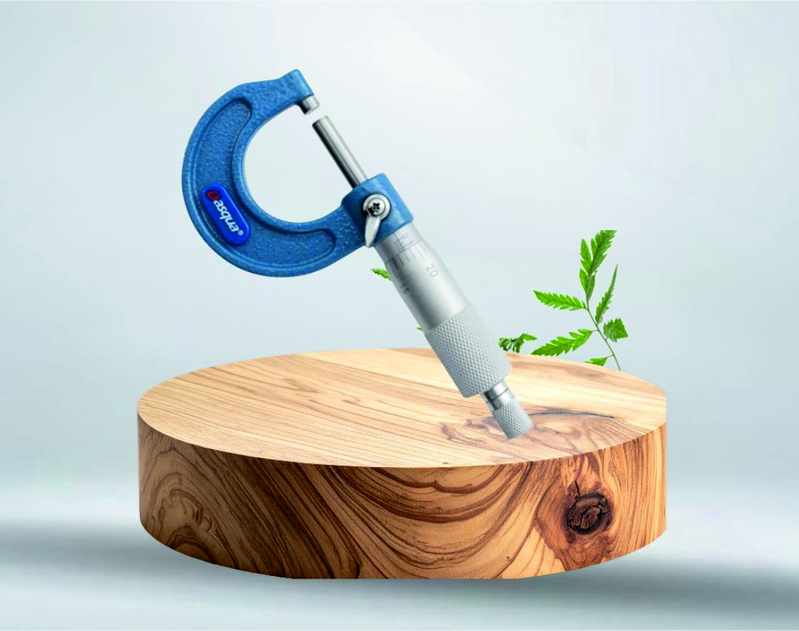MICROMETER